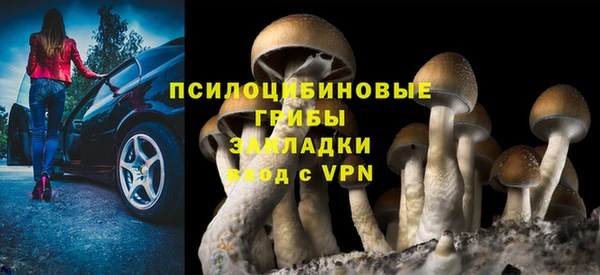 прущая мука Протвино