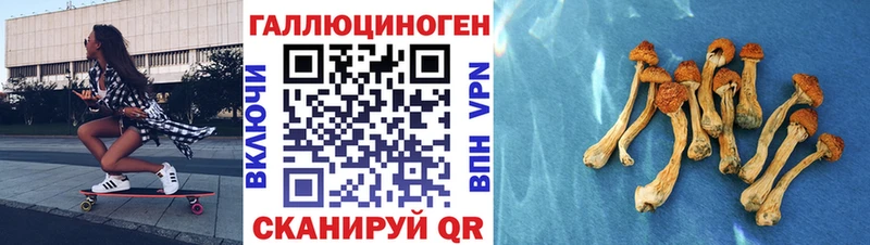 купить закладку  гидра ТОР  Псилоцибиновые грибы GOLDEN TEACHER  Вичуга 