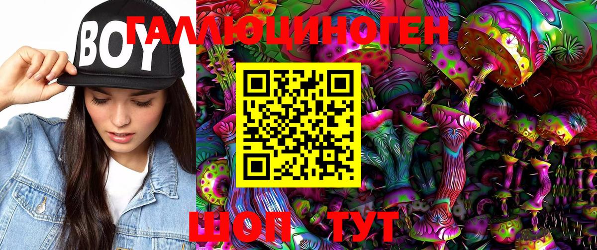 Псилоцибиновые грибы Psilocybe Вичуга
